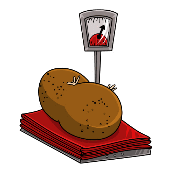 potato weight
