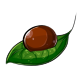 Warm Brown Face Makeup Dye Warm Brown Face Makeup Dye