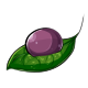 Plum Face Makeup Dye Plum Face Makeup Dye