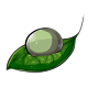 Pale Green Face Makeup Dye Pale Green Face Makeup Dye