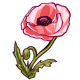 GiantPinkPoppy.png