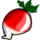 Giant Radish Giant Radish