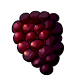 Giant_Boysenberry.png