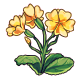 YellowPrimrose.png