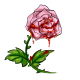 bloody_pink_valentine_rose.png