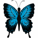 butterflywings.gif