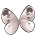 cabbage_White_butterfly_wings.png