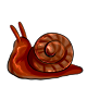 chocolate_gummy_snail.png