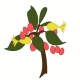 Crabapple Crabapple