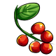 giant_chokeberry.png