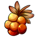 giant_cloudberry.png