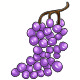 Giant Purple Grapes