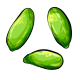 ivy_gourd.png