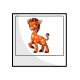 Orange Jessup Photo Orange Jessup Photo
