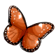 queen_butterfly_wings.png