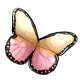 queen_butterfly_wings_dawn.png