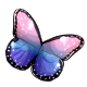 queen_butterfly_wings_dusk.png