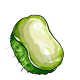 spinyChayote.png