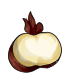 water_chestnut.png