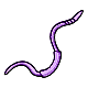 Lilac Worm Lilac Worm