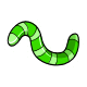 Green Meal Worm Green Meal Worm