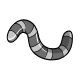 Grey Meal Worm Grey Meal Worm