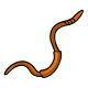 Orange Worm Orange Worm