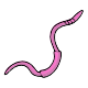 Pink Worm Pink Worm
