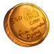 Fake Five Hundred and Fifty Dukka Coin Fake Five Hundred and Fifty Dukka Coin