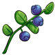 Bilberry.png
