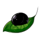Black Face Makeup Dye Black Face Makeup Dye