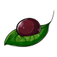 Red Wine Face Makeup Dye Red Wine Face Makeup Dye