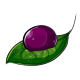 Dark Magenta Face Makeup Dye Dark Magenta Face Makeup Dye