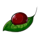 Deep Maroon Face Makeup Dye Deep Maroon Face Makeup Dye