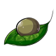 Moss Face Makeup Dye Moss Face Makeup Dye
