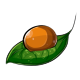 Mango Face Makeup Dye Mango Face Makeup Dye