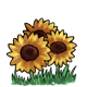 Holograms-Sunflower-field.png