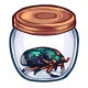 Jar of Scarabs