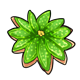 Pointsettia-Cookie-green.png
