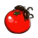Ant Tomato