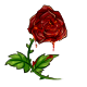 bloody_red_valentine_rose.png