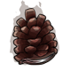 burnt-pinecone-book.png
