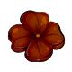 chocolate_flower_chocolate.png