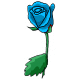 Blue Rose Blue Rose