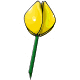 Giant Yellow Tulip Giant Yellow Tulip