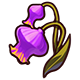 Purple Bellflower