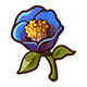 Blue Wild Rose