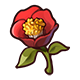 Red Wild Rose