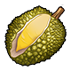 Giant Durian