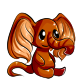 Orange Chocolate Phanty Orange Chocolate Phanty